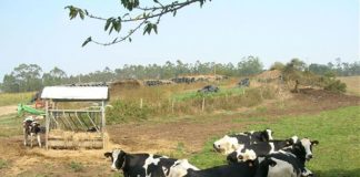 AGRICOLTURA, SVOLTA NEGATIVA NEL 1° SEMESTRE