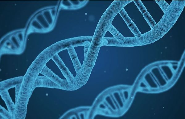 ESSELUNGA E FONDAZIONE TELETHON ALLEATI CONTRO LE MALATTIE GENETICHE