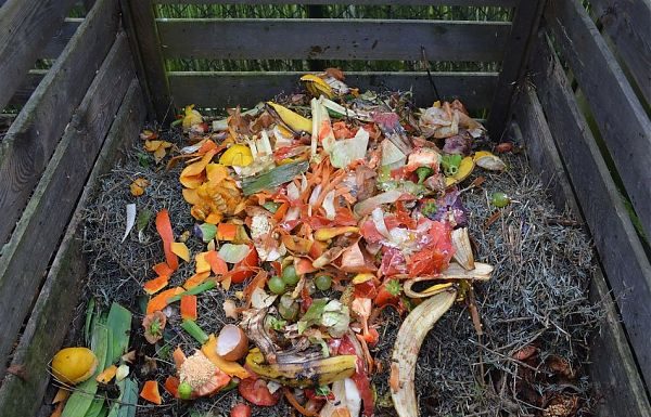 DA ACEA I MINI IMPIANTI DI COMPOSTAGGIO DIFFUSO PER I RIFIUTI ORGANICI