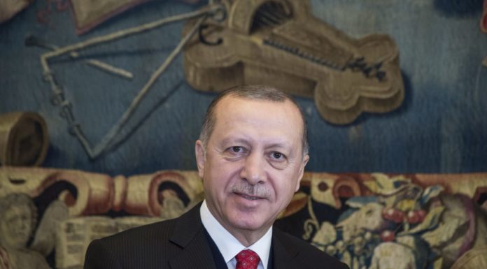 SIRIA, ERDOGAN “NON AVREMO PROBLEMI AD AYN AL-ARAB”