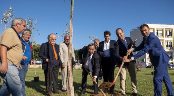 MOBILITA’ SOSTENIBILE, CRESCE IL BOSCO DI NO SMOG MOBILITY