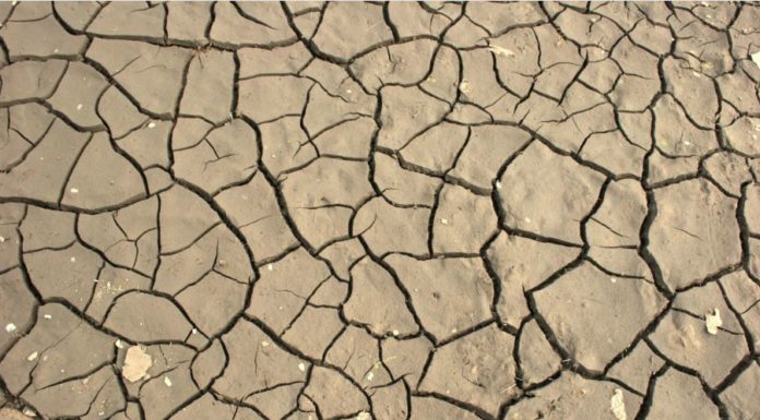 COLDIRETTI, AL SUD È ALLARME SICCITA’