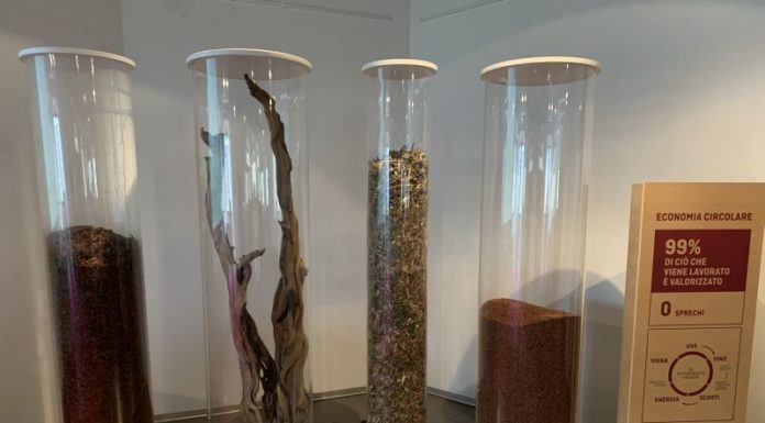 CAVIRO, COSÌ IL VINO DIVENTA GREEN