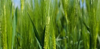 ENTI PREVIDENZIALI, NUMERI POSITIVI PER ENPAIA