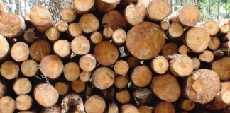 AL VIA IL PROGETTO “LEGNO CLIMA”