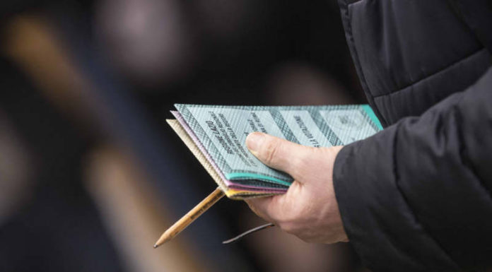IL 50% DEGLI ITALIANI VUOLE IL VOTO