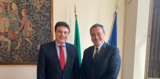 GAS, ARERA INCONTRA AUTORITÀ EGIZIANA