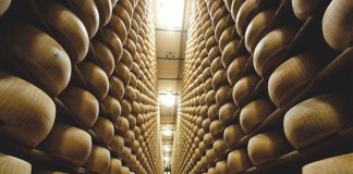 IL PARMIGIANO FA I CONTI SUI DAZI USA