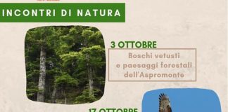 TRE INCONTRI DI NATURA DEL PARCO ASPROMONTE