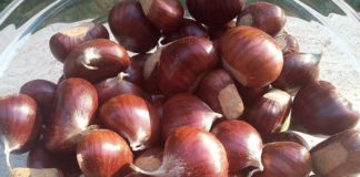 A VITERBO SAGRA CASTAGNA E DEL FUNGO PORCINO