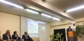 CISL PROPONE DUPLICE PATTO GENERAZIONALE