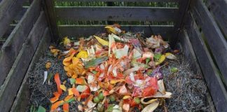 ACEA LANCIA IL COMPOSTAGGIO DIFFUSO RIFIUTI ORGANICI