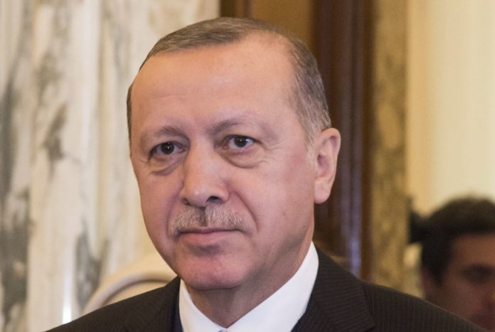 imagoeconomica_erdogan