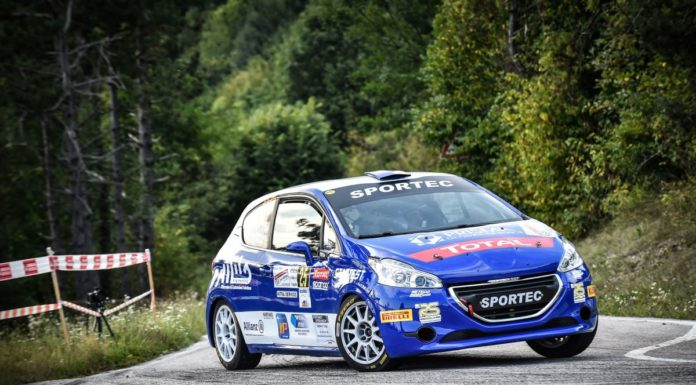 DUE VALLI DETERMINANTE PER PEUGEOT COMPETITION 208 CUP PRO