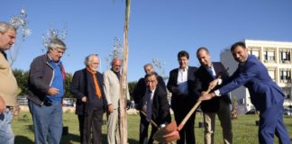 GREEN PRIX 2019. PREMIATE NISSAN E GROUPE PSA