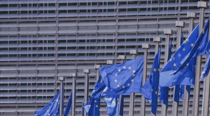 Europa, stavolta gli egoismi costano cari