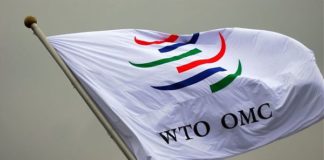 DAL WTO VIA LIBERA AI DAZI USA