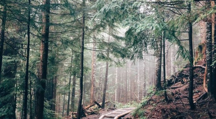 A RIMINI I PROTAGONISTI DEL GREEN NEW DEAL