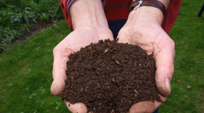 RIFIUTI, NASCONO I MINI IMPIANTI PER IL COMPOST A CHILOMETRO ZERO