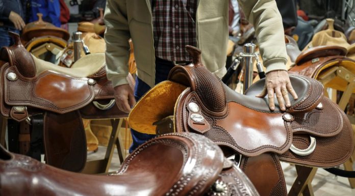 TORNA A VERONA FIERACAVALLI, IN MOSTRA OLTRE 2 MILA ESEMPLARI