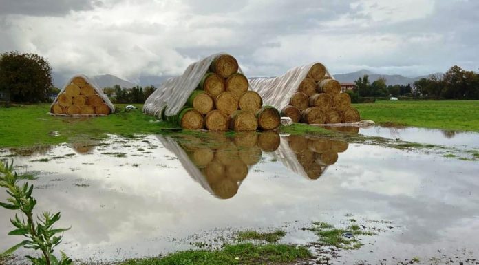 BOMBA D’ACQUA SU CASERTA, CAMPI ALLAGATI E STALLE DISTRUTTE