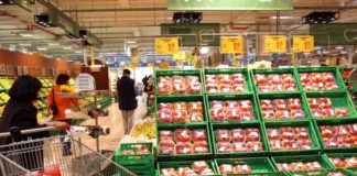 A Bologna liquidati oltre 550 buoni spesa, 11 mila domande