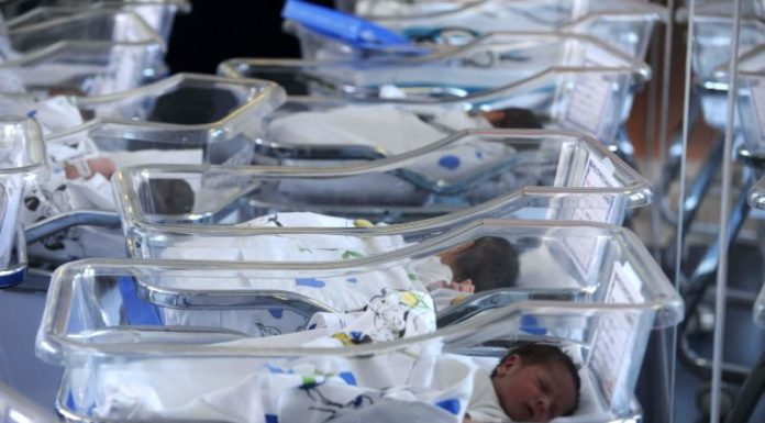 NASCITE IN CALO SOPRATTUTTO PER I PRIMOGENITI