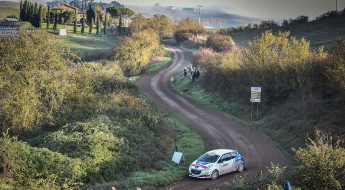 PEUGEOT VINCE IL TRICOLORE COSTRUTTORI DUE RUOTE MOTRICI