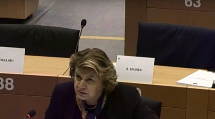 FOREIGN FIGHTERS, CHINNICI “UE AIUTI MINORI A RIENTRARE”