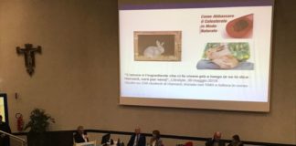 AL GEMELLI UN’ALLENZA PSICHE-CORPO PER LA CURA