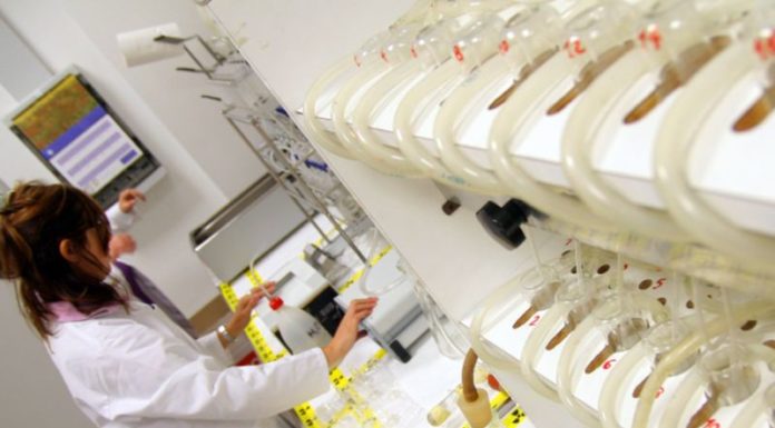 NASCE PORTALE INDUSTRIA CHIMICO-FARMACEUTICA PER SICUREZZA E SALUTE