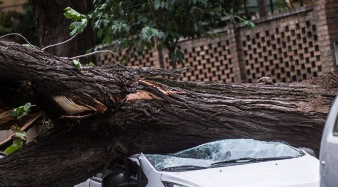 MALTEMPO, DA REALE GROUP UN FONDO DA 5 MILIONI DI EURO