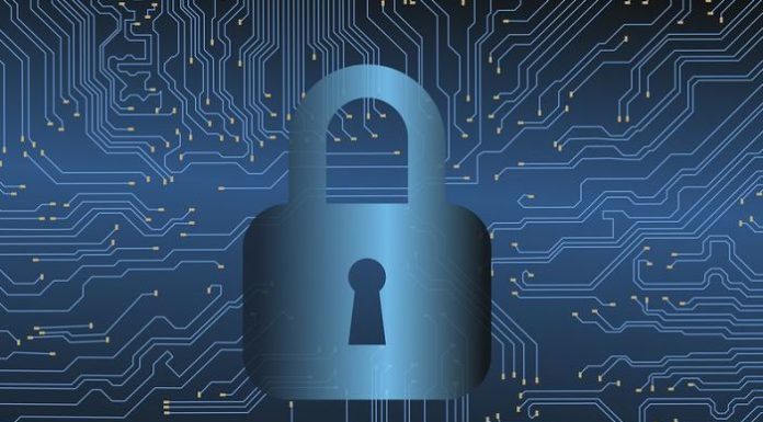 OPERAZIONE CONTRO IL CYBER-RICICLAGGIO, IDENTIFICATI 170 “MONEY MULES”