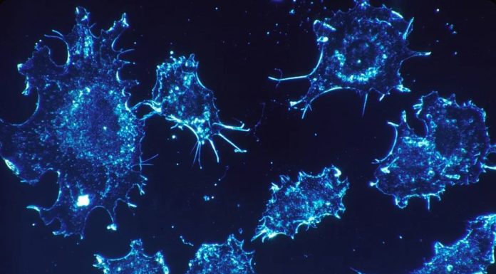 TUMORI, NUOVE SPERANZE DALLE TERAPIE AGNOSTICHE