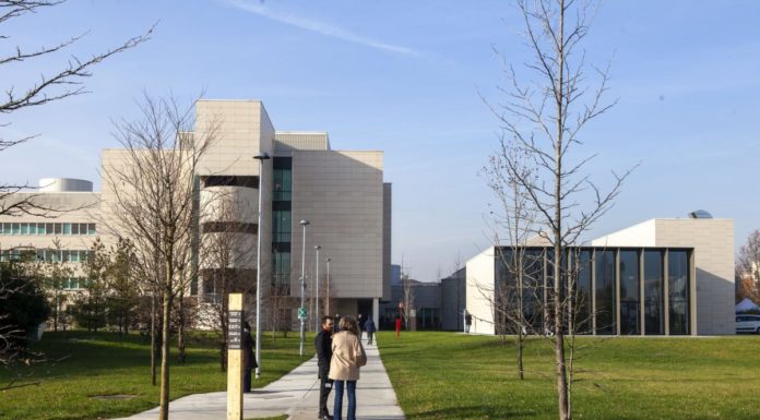 UN NASO ELETTRONICO PER DIAGNOSTICARE IL CANCRO