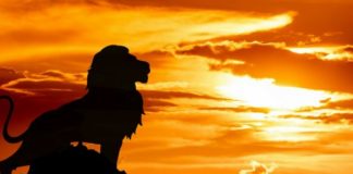 “IL RE LEONE” PRIMO AL BOX OFFICE NEL 2019