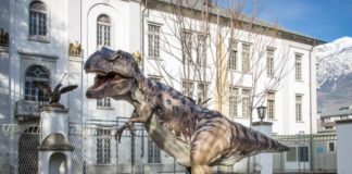 MOSTRE, AD AOSTA “DINOSAURI IN CARNE E OSSA”