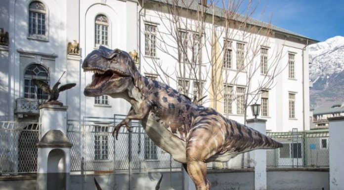 MOSTRE, AD AOSTA “DINOSAURI IN CARNE E OSSA”