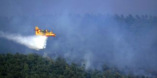 PREVENZIONE INCENDI BOSCHIVI, VIA LIBERA AL PIANO