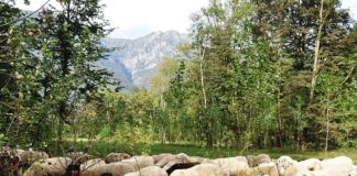 LA TRANSUMANZA DIVENTA PATRIMONIO DELL’UMANITÀ