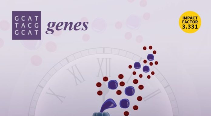 LEUCEMIA ACUTA MIELOIDE, NUOVO PROTOCOLLO PER IDENTIFICARE GENI ALTERATI