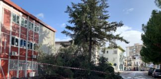 PALERMO, DANNI E DISAGI PER IL FORTE VENTO