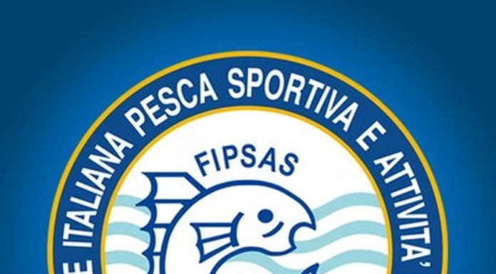 INCIDENTE STRADALE, MUORE AZZURRO DEL NUOTO PINNATO