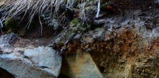 NASCE LA CARTA DEI SUOLI DELLA VALLE D’AOSTA