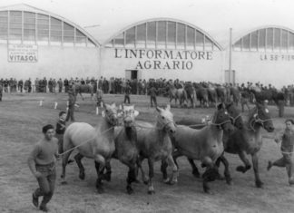 1952_Fieragricola_111400_20200129