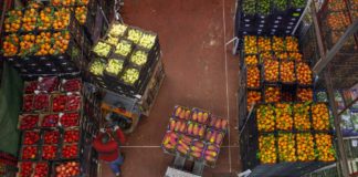 Monitor Deloitte, per l’emergenza 5 linee da seguire