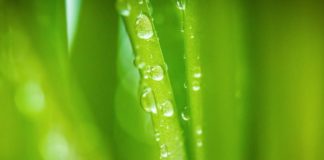 Manovra, Asvis “Ambiente preoccupa più del gender gap”