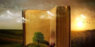 Differenza tra prefazione e introduzione