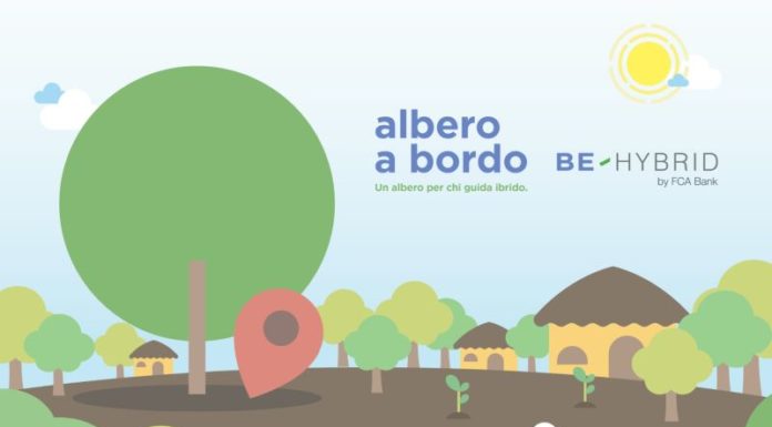 Fca Bank e il business sostenibile con la foresta a distanza