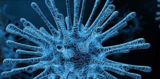 Coronavirus, è emiliano il primo italiano contagiato